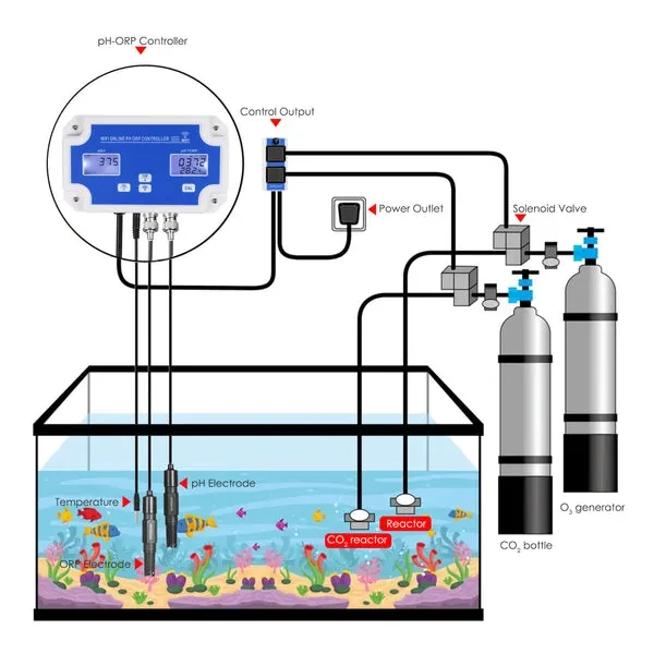 Digital pH / ORP Controller with Monitoring and Dosing for Water - Image 5